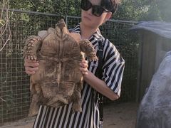 -六鳌翡翠湾滨海度假景区