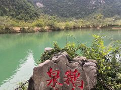 -靖西鹅泉风景区