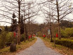 -田野绿世界
