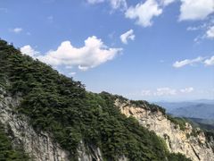 -王顺山国家森林公园