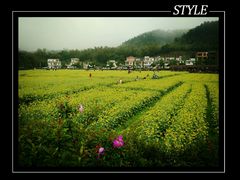 -红山村