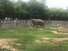 -西安秦岭野生动物园