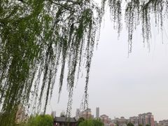 -武汉园博园(武汉自然博物馆)