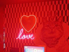 -好乐迪(张扬路八佰伴店)