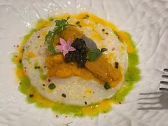 -蝶舍·MAISON PAPILLON