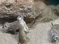 -大连圣亚海洋世界