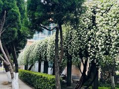 -四川大学(望江校区)