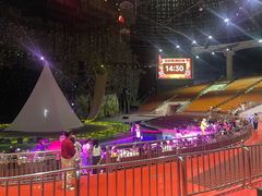 -灵玲国际马戏城