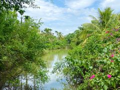 -兴隆槟榔园休闲农庄