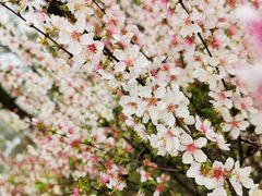 -白塘生态植物园