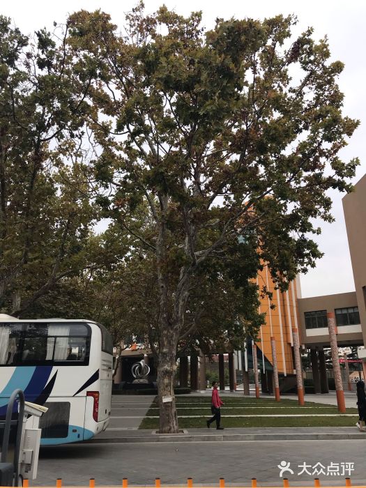山东省青岛第二中学(江西路分校)图片