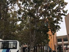 -山东省青岛第二中学(江西路分校)