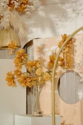 -忆江南婚礼策划(姑苏店)