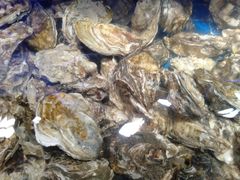 -四海蒸鲜蒸汽海鲜自助(北戴河店)