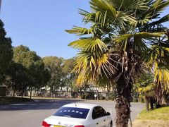 -胜华驾校·小猫学车(银都店)