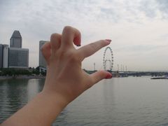 -新加坡摩天观景轮