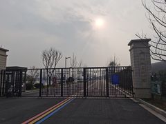 -羊山湖公园