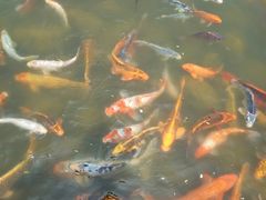 -北戴河圣蓝海洋公园