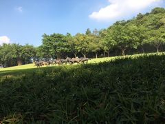 -广州雕塑公园