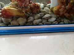-真情鲍鱼海鲜汤