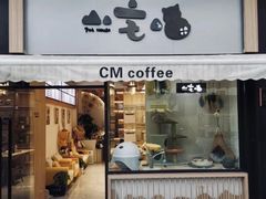 -山宅一喵德文卷毛猫舍