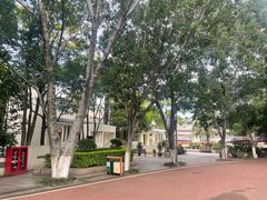-攀枝花公园