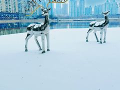 -西北湖绿化广场