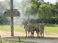 -宁波野生动物园