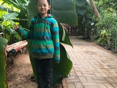 -呀路古热带植物园