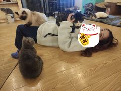 -萌喵咖啡屋(人民东路4号口M16商铺店)
