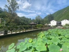 -荷塘味道(水长城店)
