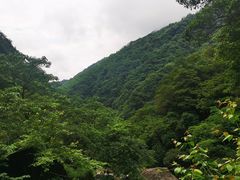 -大鄣山卧龙谷景区