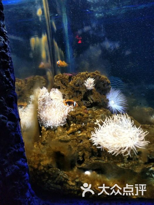 苏州乐园海底世界图片 - 第1025张