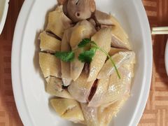 新城白切鸡-新城餐厅(吉祥北街店)