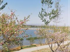 -绿堤公园