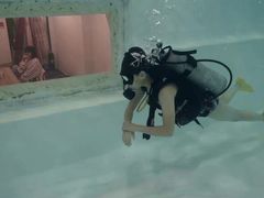 -上海潜殿潜水中心