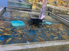 -山姆会员商店(南昌店)