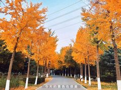 -南海子公园
