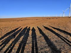 -塞罕坝国家级自然保护区