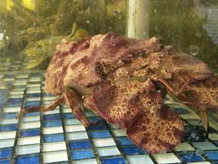 -顺德了能馆(虎门店)