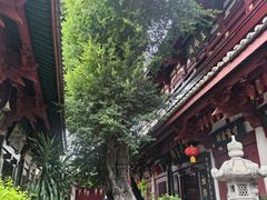 -叩齿古寺