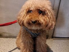 -E+有冰工厂·昆仑寒宫2(五角场店)