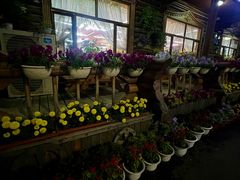 -玛丽亚西餐厅非遗俄餐