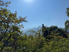 -秦岭终南山世界地质公园翠华山景区