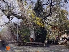 -秦岭风景区
