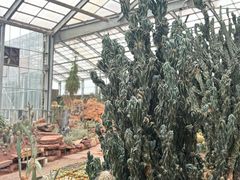 -南通洲际绿博园