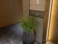 -艺水间水汇