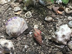 -龙坑生态保护区