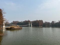 -东湖落雁景区