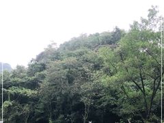 -青城山